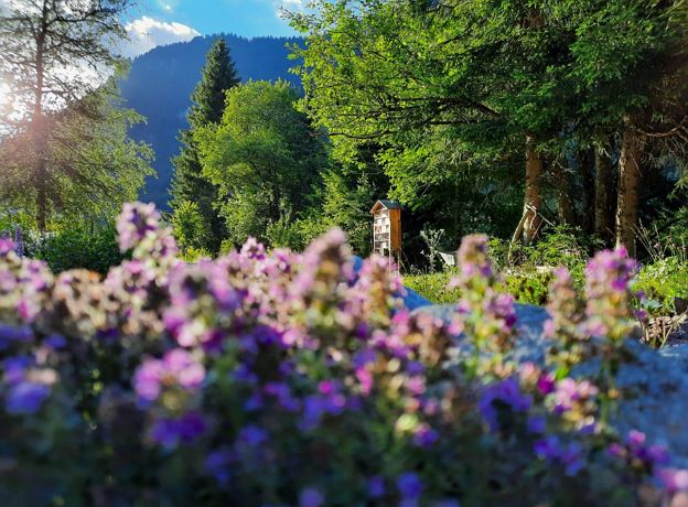 Outdoor Yoga in the Kneipp & Relax Garden Alfenz